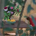 Bed & Breakfast Casa De Mogofores 3*
