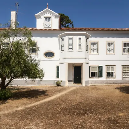 Casa De Mogofores Bed & Breakfast