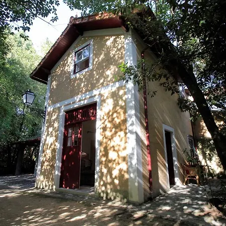 Panzió Casa De Mogofores
