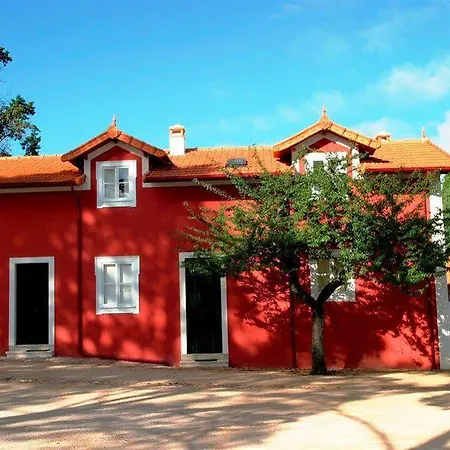 Bed and Breakfast Casa De Mogofores Anadia