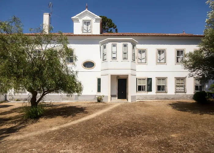 莫格弗雷斯住宿加早餐旅馆 住宿加早餐酒店